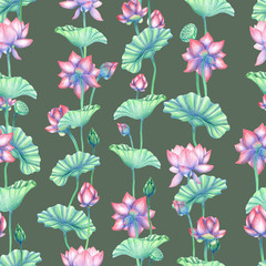 Seamless pattern with lotus flowers. Flower seamless pattern. Botanical background. Pencil drawn Indian lotus flower pattern. Floral pencil background. 
