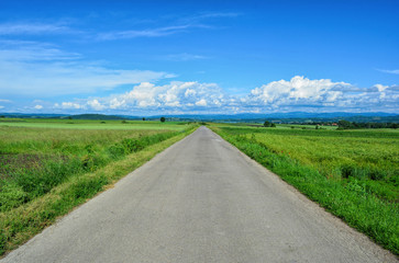 Country road and green fields, late spring landscape