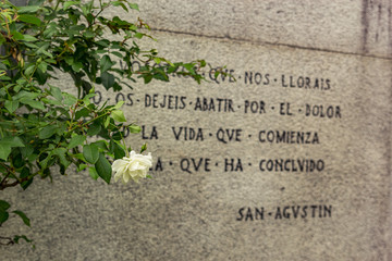 recoleta cemetery famous graves buenos aires