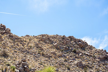 Obraz premium Desert Landscape