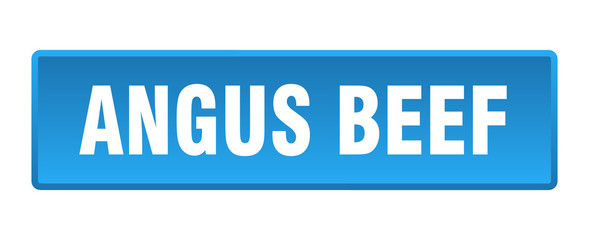 angus beef button. angus beef square blue push button