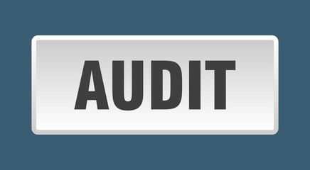 audit button. audit square white push button