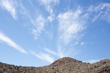 Desert Landscape
