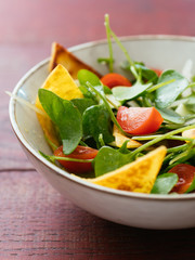 Winter purslane salad with zucchini, tomatoes, onions and toasted tortillas.