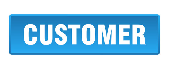 customer button. customer square blue push button