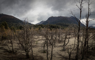 rio muerto