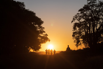 Amigos paseando en una puesta de sol entre los arboles