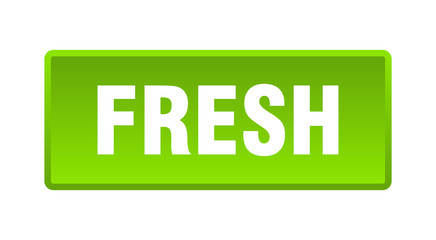 fresh button. fresh square green push button