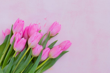 Pink blossoming fresh tulips bunch holiday background, selective focus, copyspace