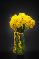Beautiful bouquet of yellow daffodils on a black background