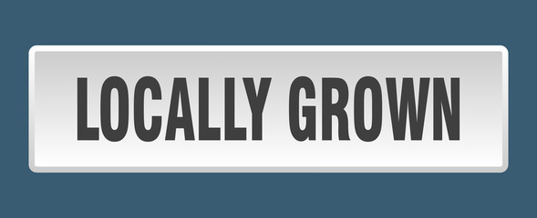 locally grown button. locally grown square white push button