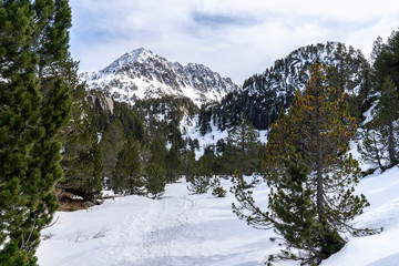 Views of National Park of Aigüestortes and lake of Sant Maurici.