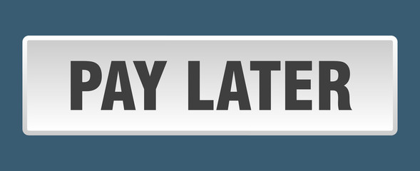 pay later button. pay later square white push button