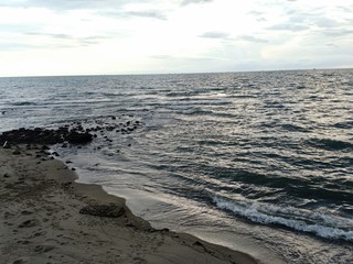 beach with a sunset background