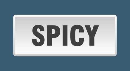 Fototapeta premium spicy button. spicy square white push button