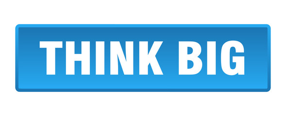 think big button. think big square blue push button