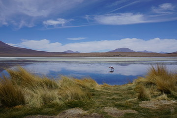 Salar de Uyuni 