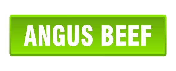 angus beef button. angus beef square green push button