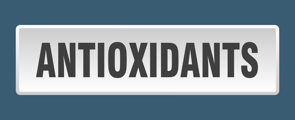 antioxidants button. antioxidants square white push button