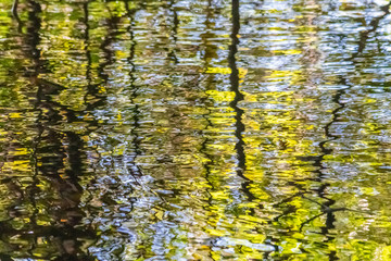On the banks of the Rio do Coco, reflections of the vegetation of the Brazilian savannah on a sunny autumn day.