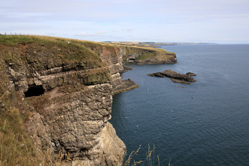 Crawton Bay (Scotland), UK - August 01, 2018: Cliff view at Crawton Bay, Scotland, Highlands, United Kingdom