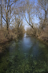 Fluss und Ökosystem im Frühjahr in Bayern in Deutschland