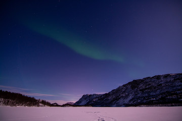 Polarlicht, Mattisvannet, Alta, Norwegen