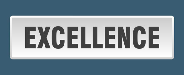 excellence button. excellence square white push button