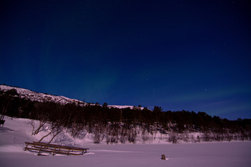 Polarlicht, Mattisvannet, Alta, Norwegen