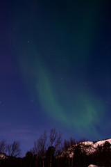 Fototapeta na wymiar Polarlicht, Mattisvannet, Alta, Norwegen