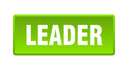leader button. leader square green push button