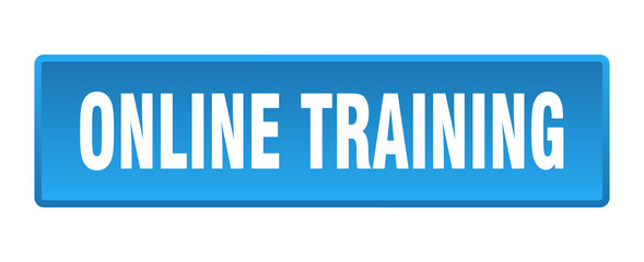 online training button. online training square blue push button