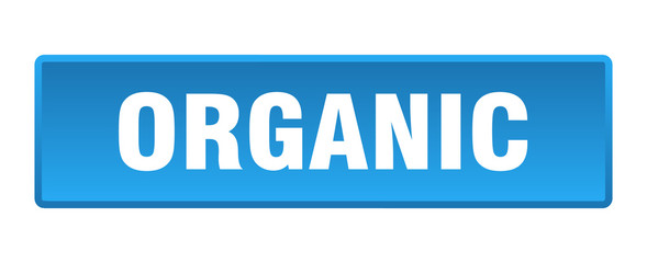 organic button. organic square blue push button