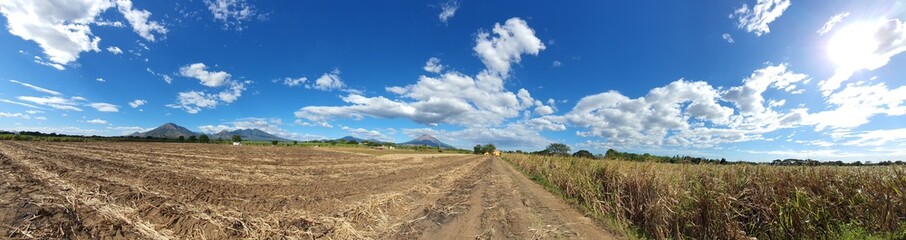 Obraz premium road in field