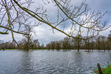 Nature reserve near D&uuml;sseldorf under water, Germany.