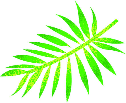 Tropical Leaf
