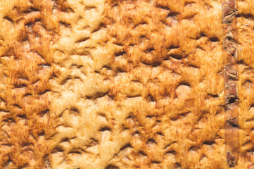 Birch bark texture close up. wooden background