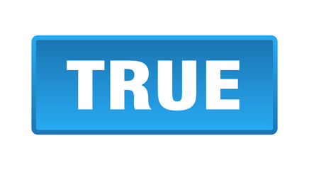 true button. true square blue push button