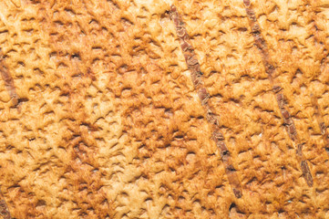 Birch bark texture close up. wooden background