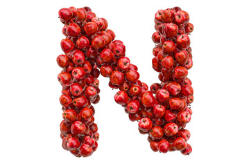 Letter N from red apples, 3D rendering