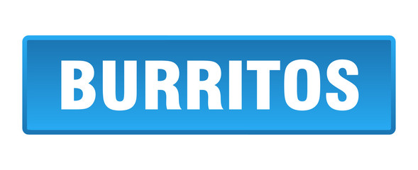 burritos button. burritos square blue push button