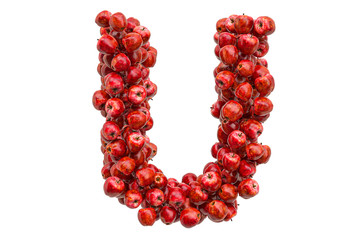 Letter U from red apples, 3D rendering