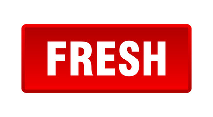 fresh button. fresh square red push button