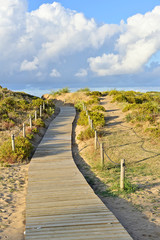 Fototapeta na wymiar Wood path in the dunes of the beach on a sunny afternoon with white clouds on the horizon