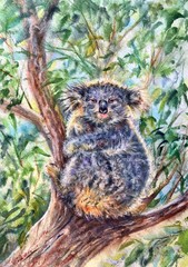 Watercolor phascolarctos cinereus. Koala on a branch of eucalyptus tree,  Australia. Vertical view, copy-space. Template for designs , card, wallpaper.