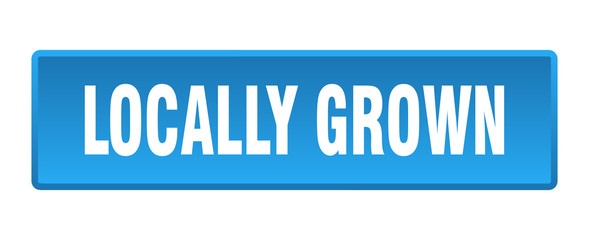 locally grown button. locally grown square blue push button