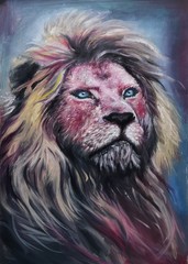 portrait of lion