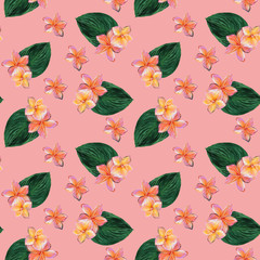 Frangipani Plumeria Tropical Flowers on pink background. Seamless Pattern Background. Tropical floral summer seamless pattern background with plumeria flowers with leaves