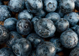 Closeup of a Pile of Fresh Blueberries in Market 