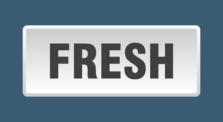 fresh button. fresh square white push button